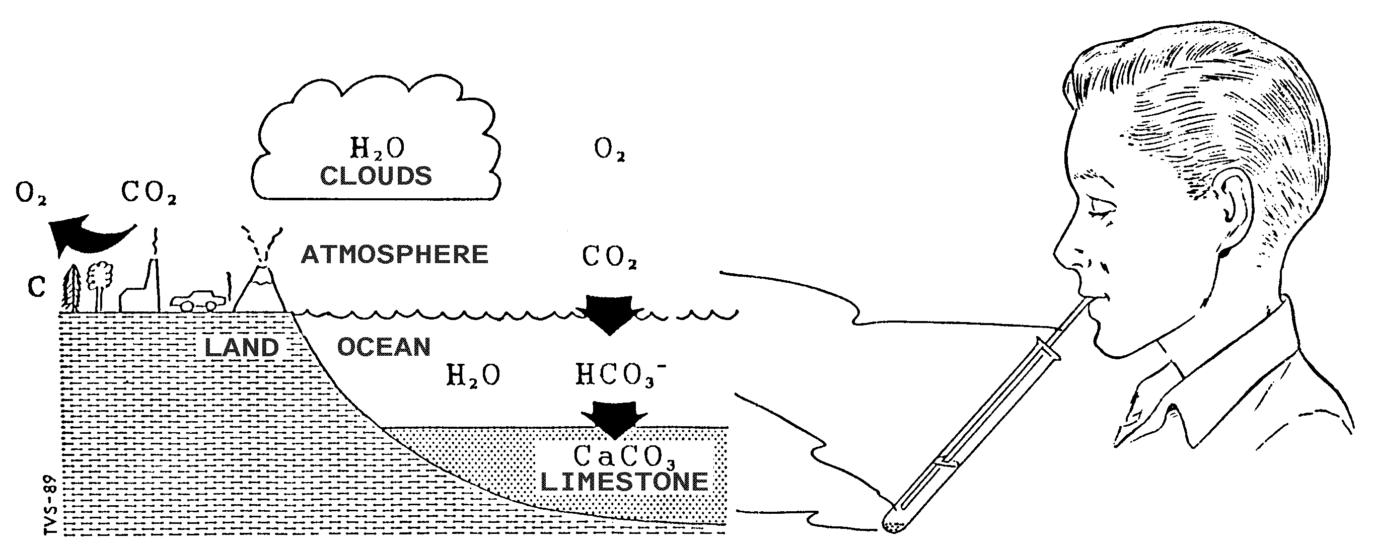 The atmosphere - ocean - limestone system is analogous to breathing CO2 into lime water precipitating solid calcium carbonate.
Download my Aftenposten chronicle [in Norwegian] (PDF; 242 kbytes).